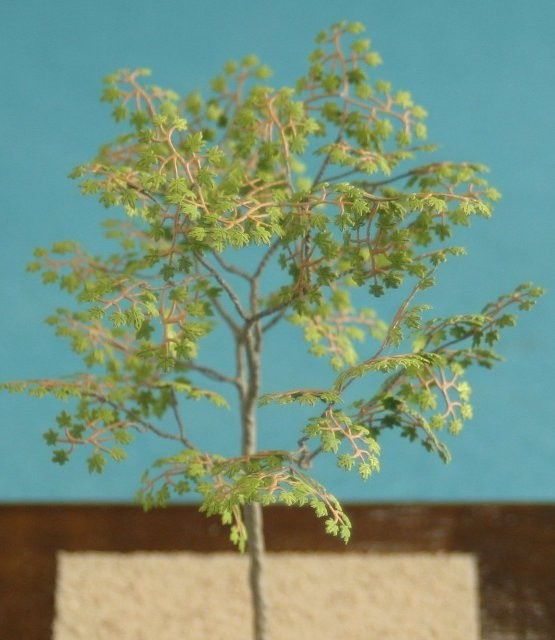 Kamizukuri A-6-35 1/35 Maple