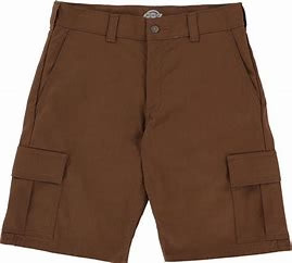 Dickies Skateboarding Shorts