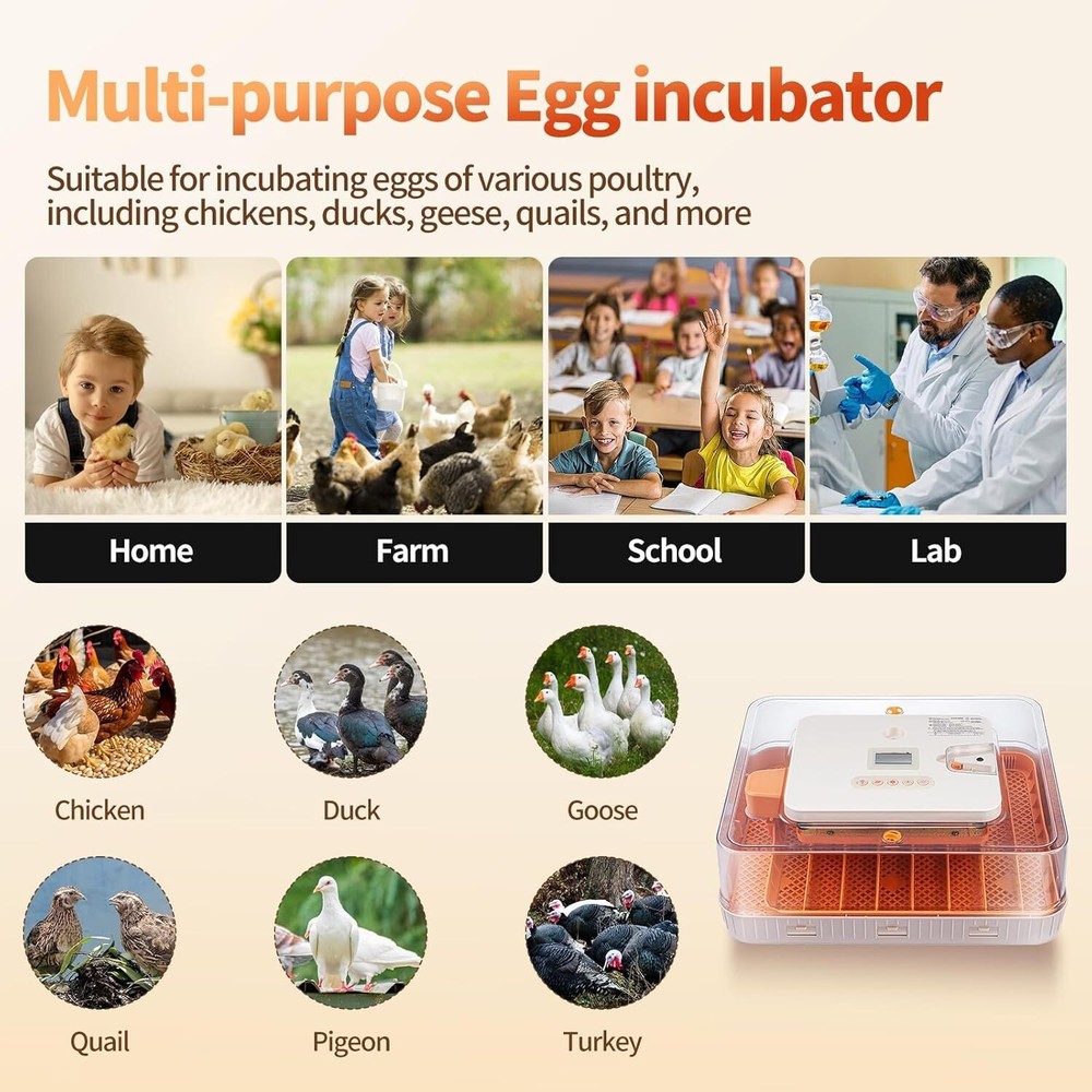 56 Egg Incubator with Auto-Turning, Hatching Temperature & Humidity Control