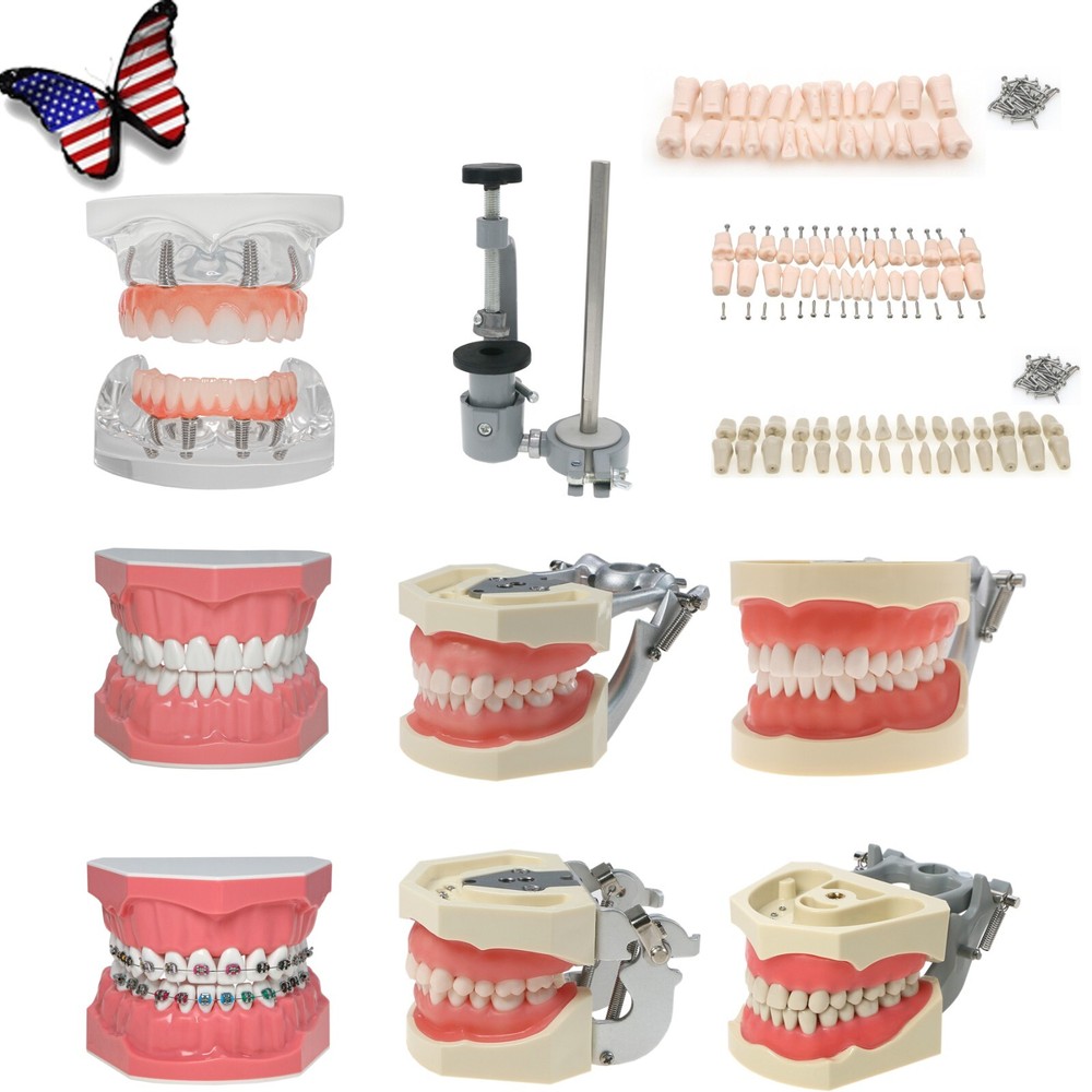 Dental Teeth Model Kit w/ Replaceable Teeth, Implant, Brackets, Mounting Pole