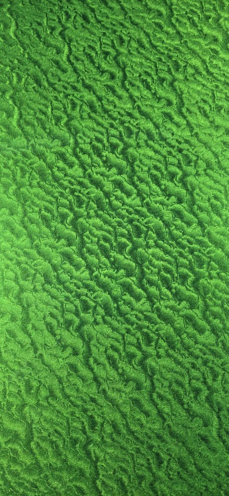 Fluorescent Green Leaf Sign Plotter Cutter Vinyl Roll