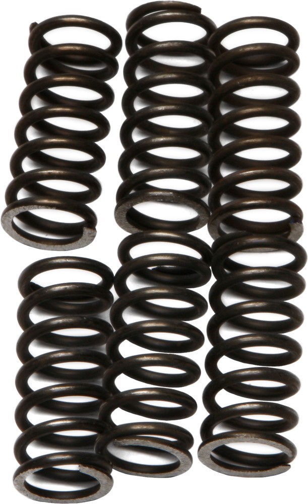 EBC CSK Clutch Spring Kit CSK46