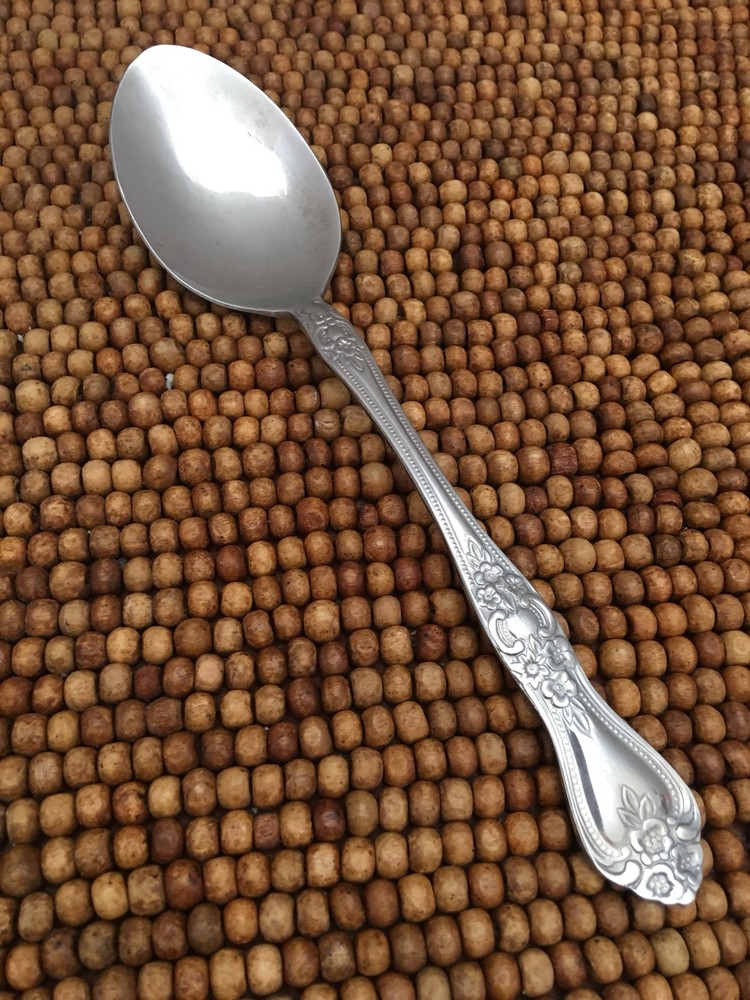 PRECIOUS ROSE Rogers Co Stainless Beaded Glossy Floral PLACE SOUP SPOON 7”