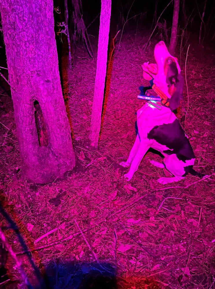 The Storm additional Sidelight color - Blue