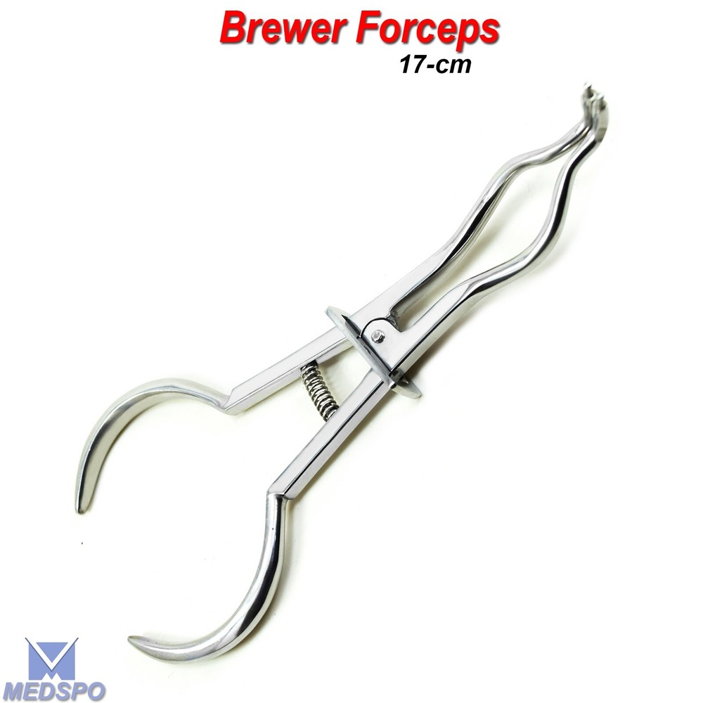 EndodonticAnisworth Punch Brewer Frame Forceps Tools Rubber Dam Instruments Kit