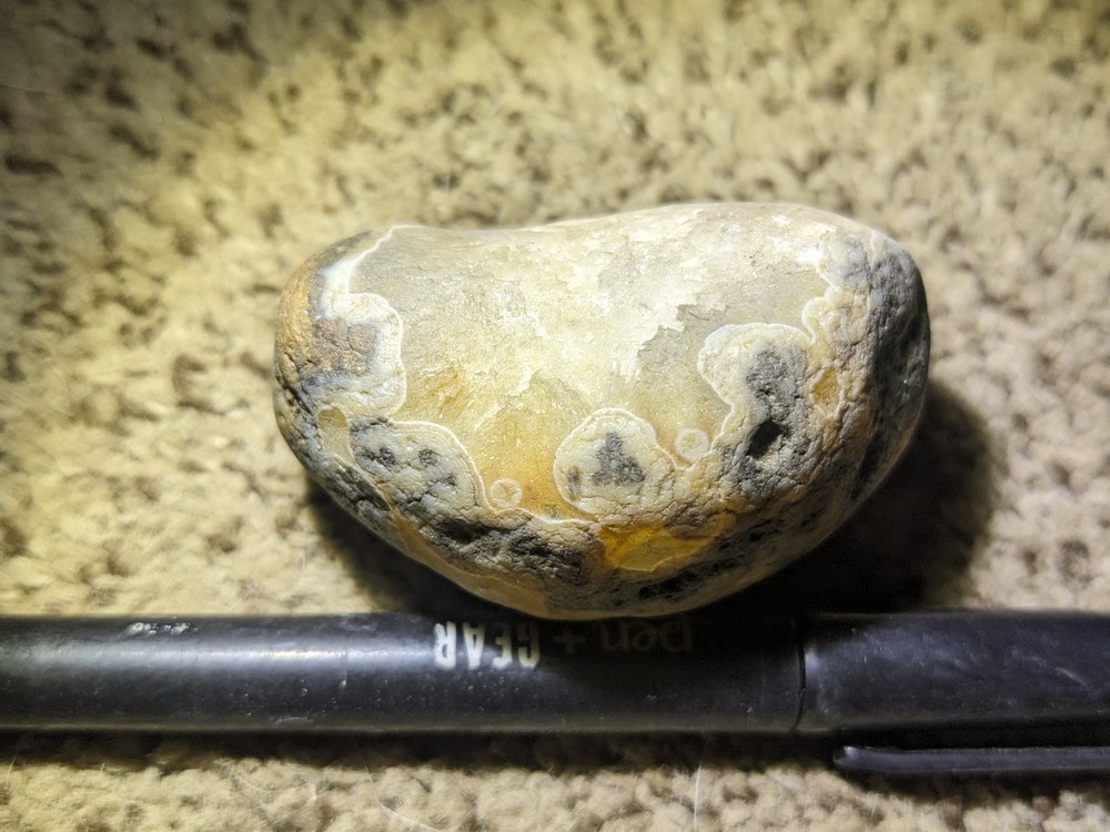 Beautiful Montana Treasure State Agate Specimen!