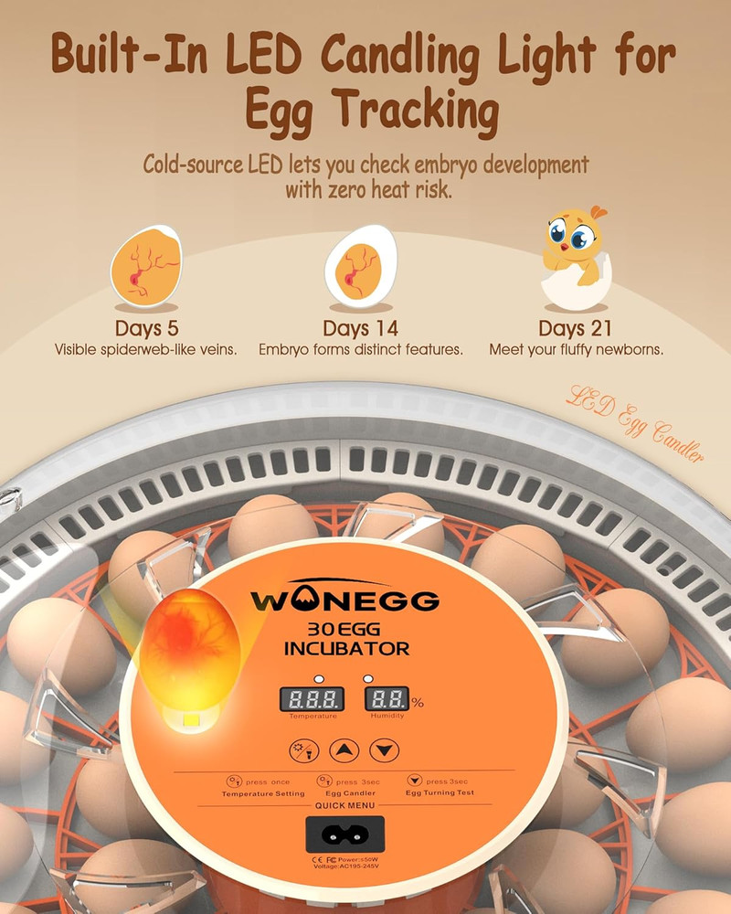 30 Egg Incubators for Hatching Eggs with Automatic Egg Turner, Auto Temperature