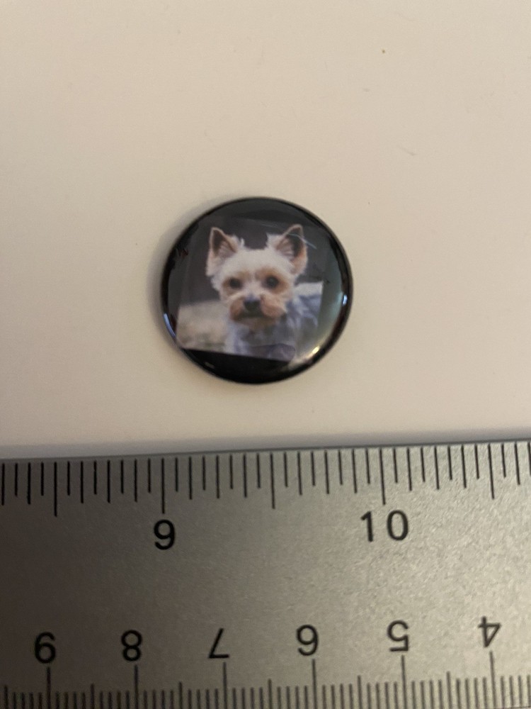 Yorkie Yorkshire Terrier Pin Back Button P89