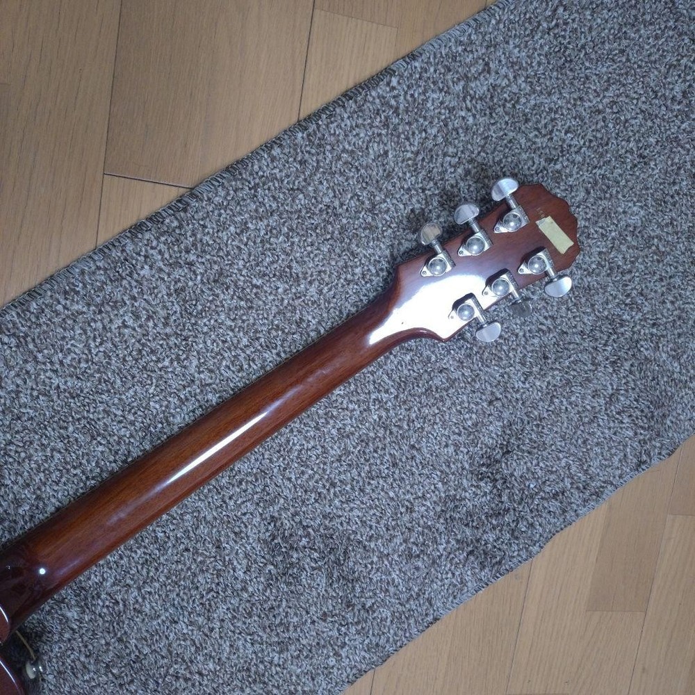 Epiphone Lespaul STANDARD pro