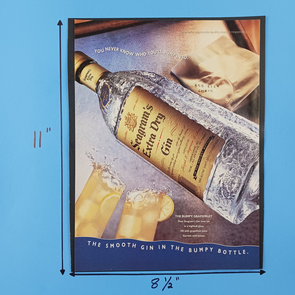 1995 Seagrams Extra Dry Gin Print Advertisement