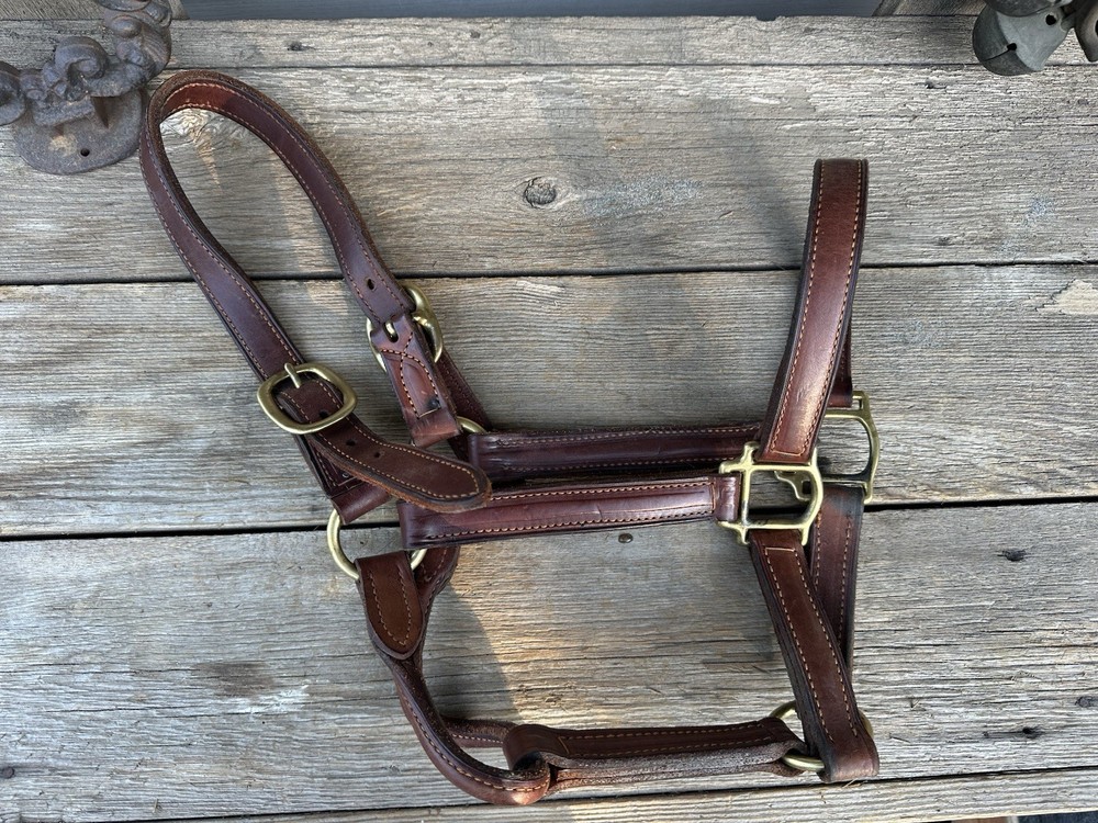 Horse Tack - Leather Track Halter