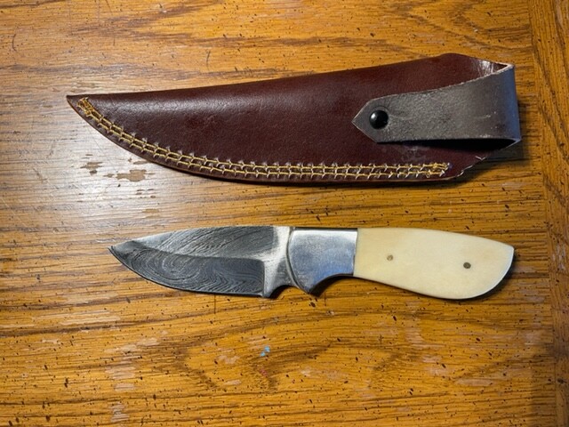 Nice Damascus deep belly caper with white bone stocks & leather sheath