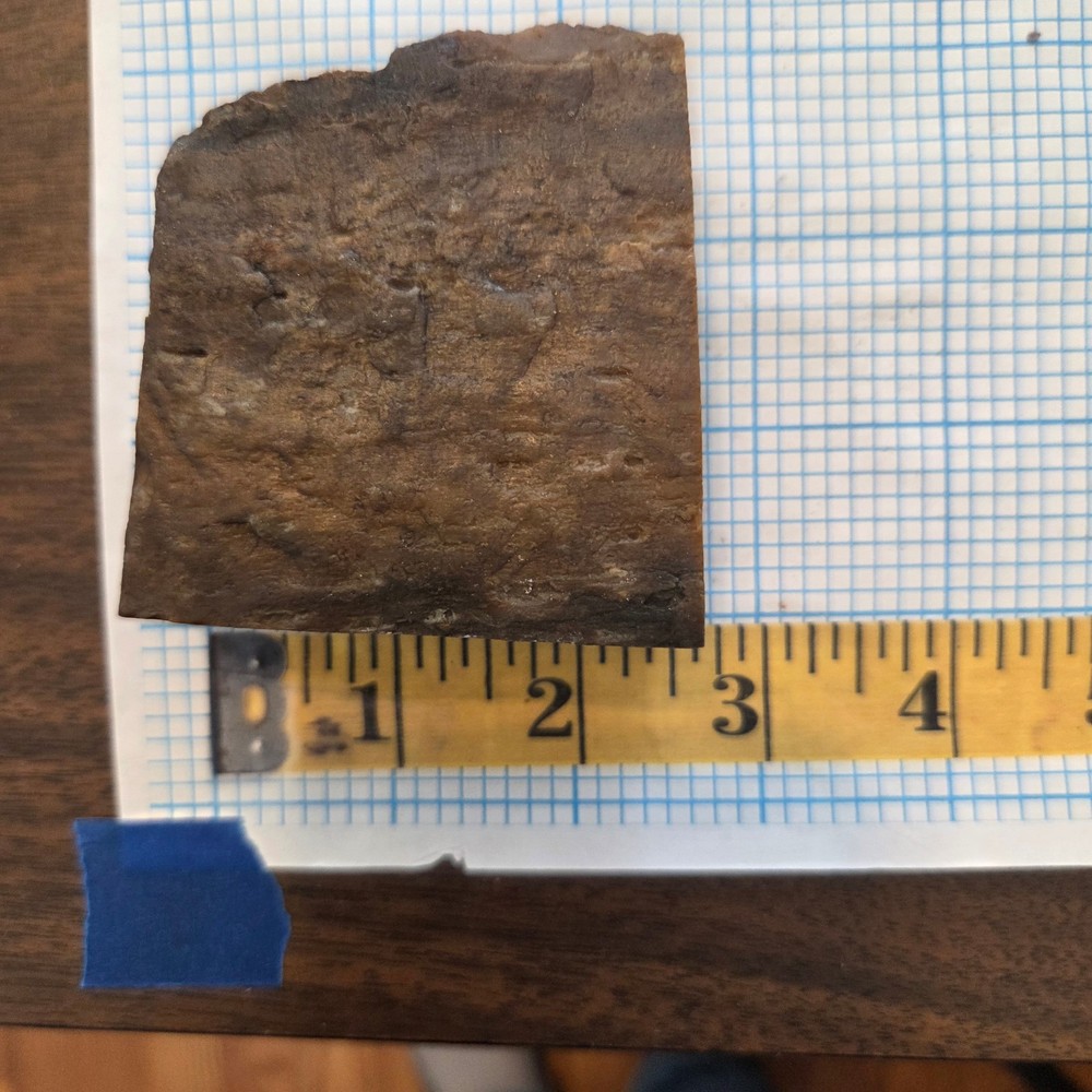Palm Rough