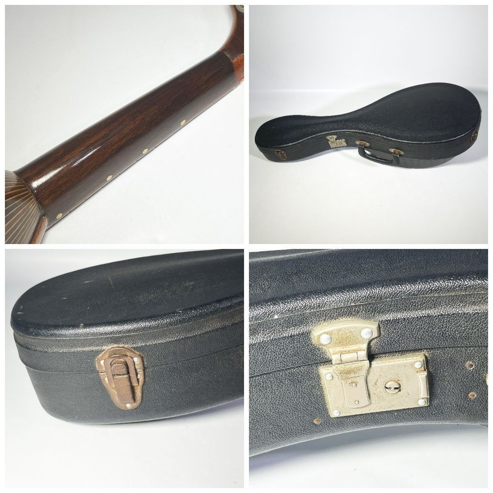 [Junk item] Raffaele Calace 1969 Mandolin