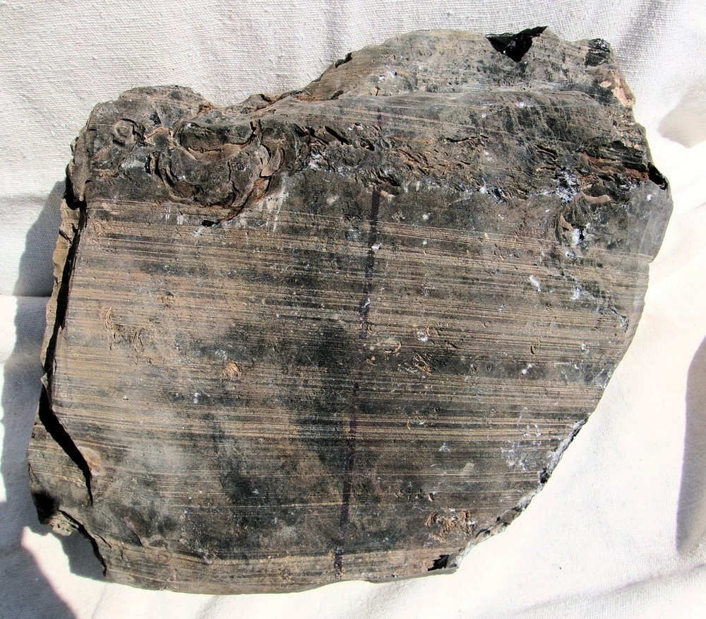 Rainbow Obsidian Lapidary Rough for Cabbing 39.15 Lbs. Mexico