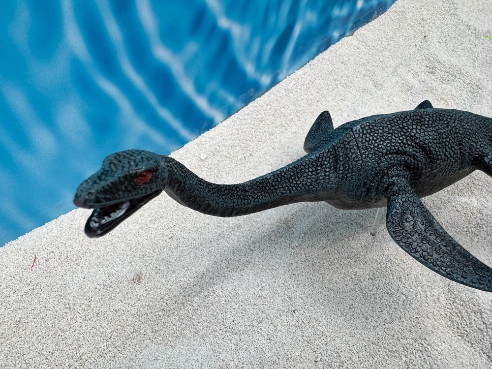 Plesiosaur