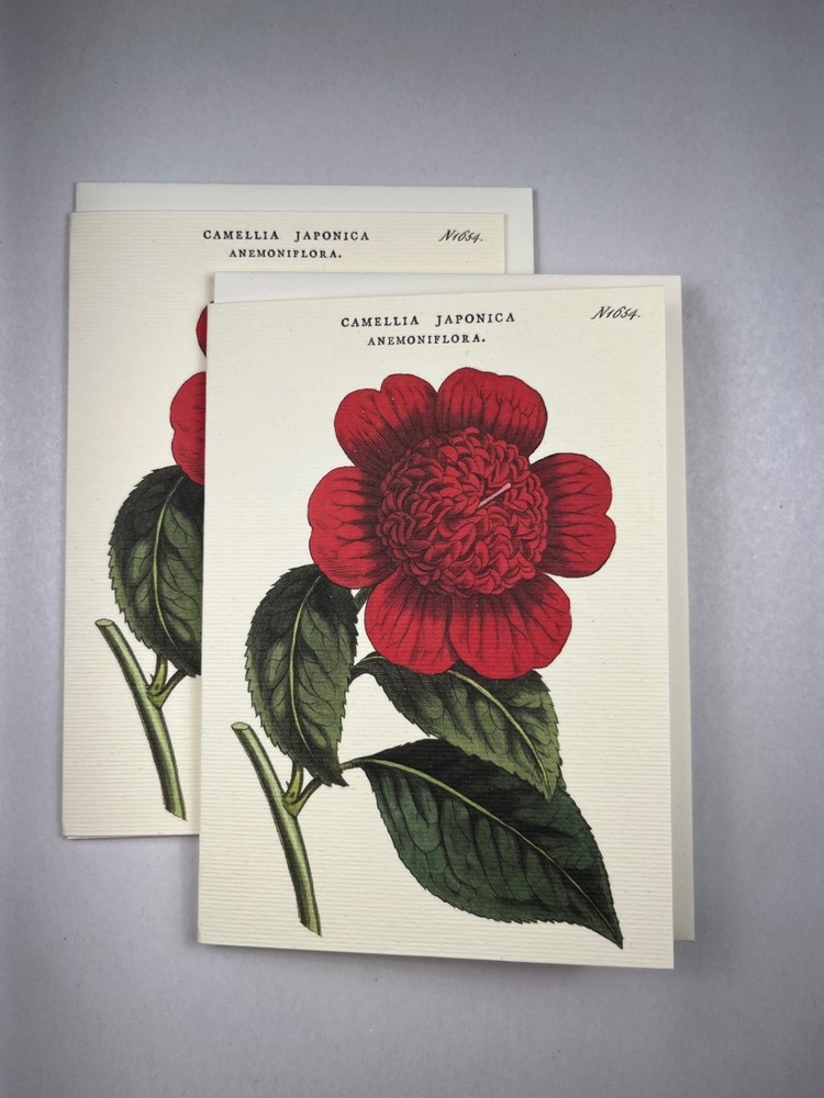 Cavallini & Co. Botanical Boxed Notecards, Assorted