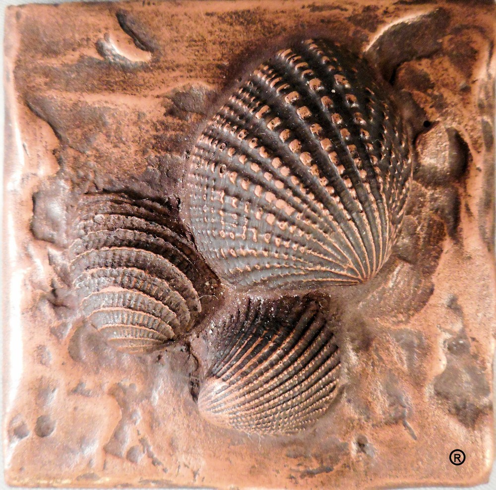 Copper Sea Shells #2 Decorative Dot Tile