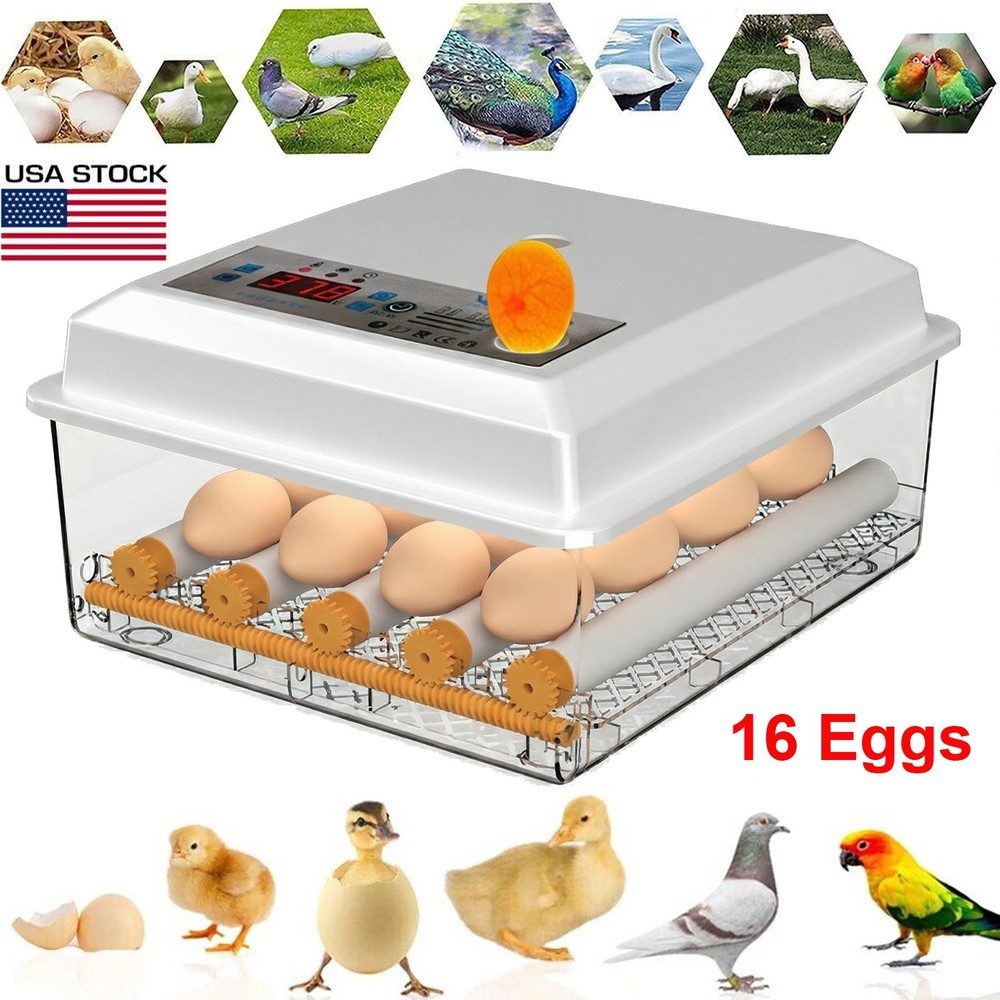 16 Eggs Incubator Digital Hatcher Temperature Control Fully Automatic Turning US