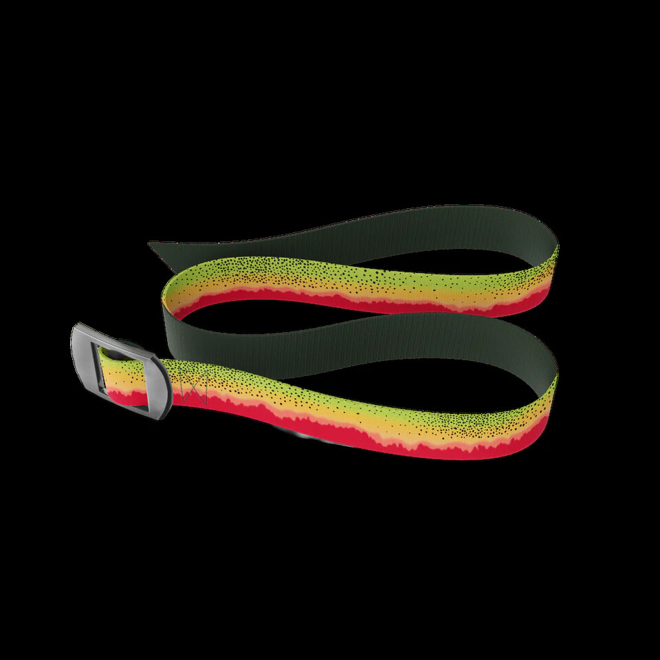 WINGO Basecamp Belt