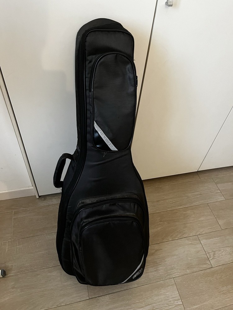 Altamira N100 Guitar