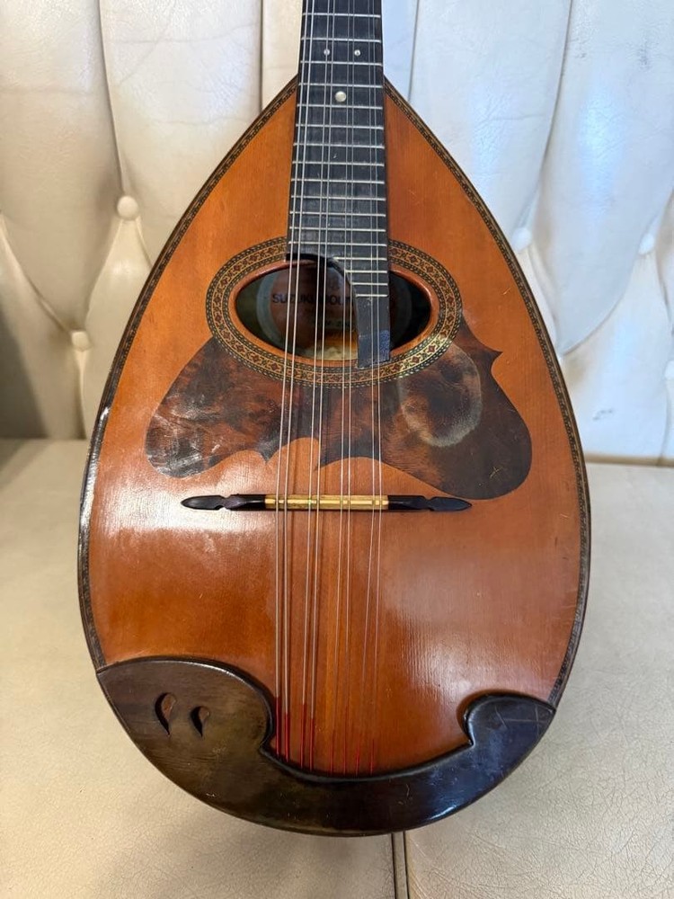 78: Mandolin Spruce body 8 strings