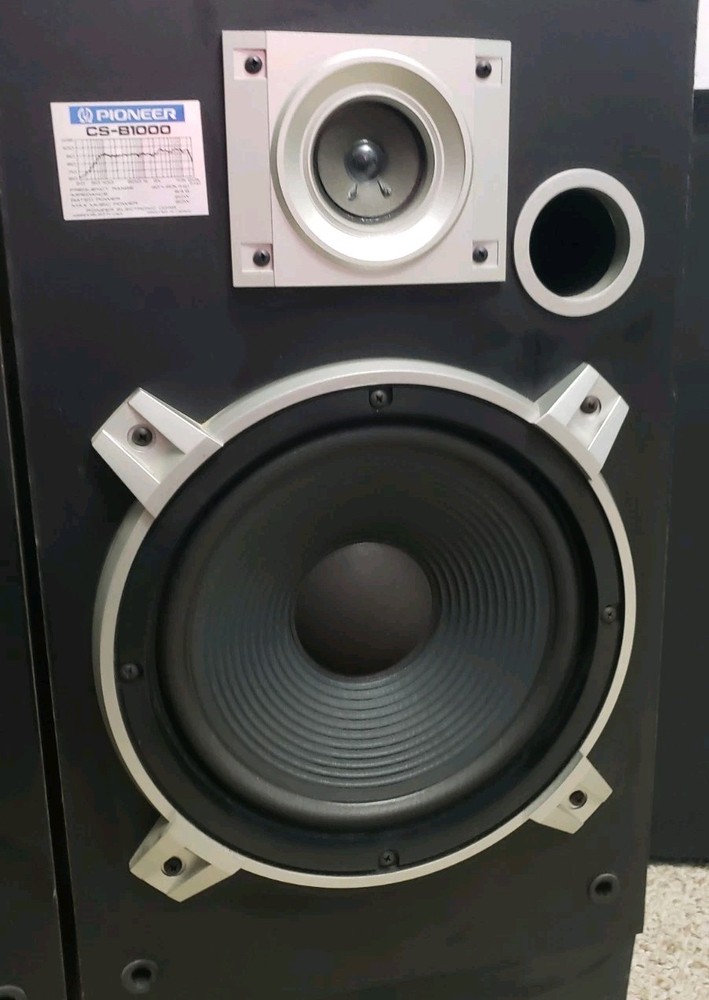 2 Pioneer Model CS-B1000 Speakers