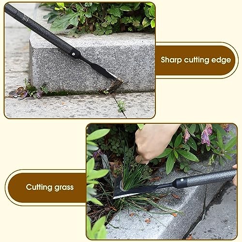 Crack Weeder, Crevice Weeding Sickle Hoe Tool with Beech Handle, Stainless 12"