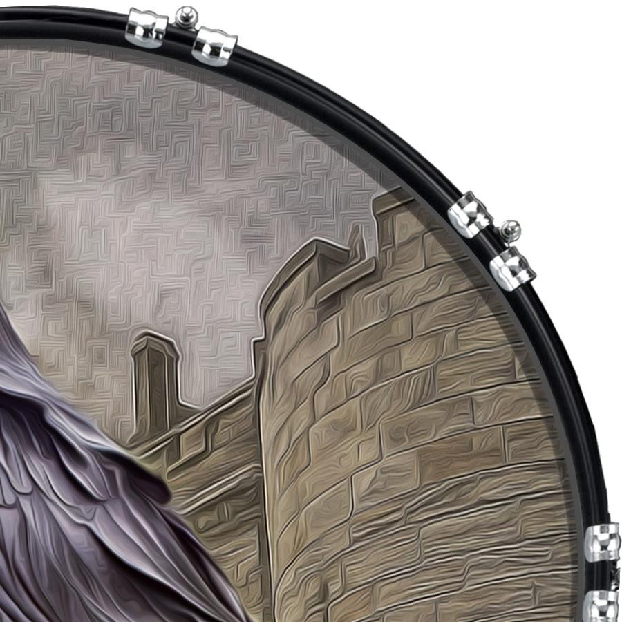 20" Custom Bass Kick Drum Front Head Graphical Graphic King Crow