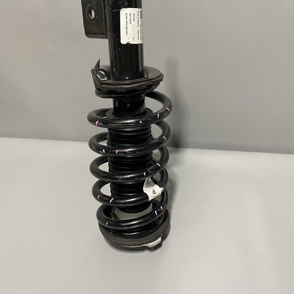 TESLA MODEL 3 STRUT SHOCK COIL RIGHT FRONT 2017 2018 2019 2020 OEM