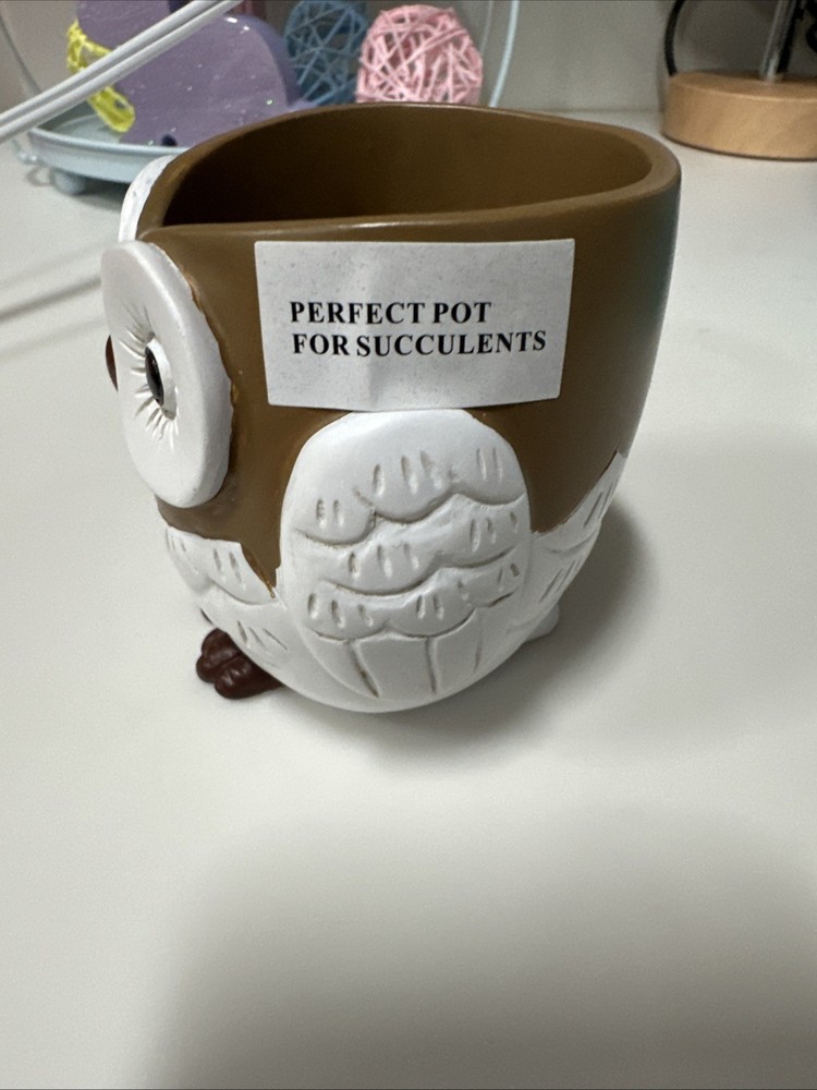 Owl Planter Pot 2.5