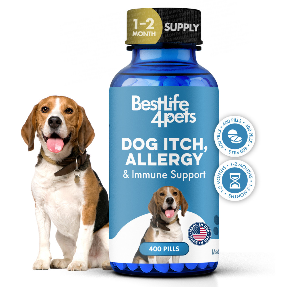 Dog Allergy Relief & Immune Support