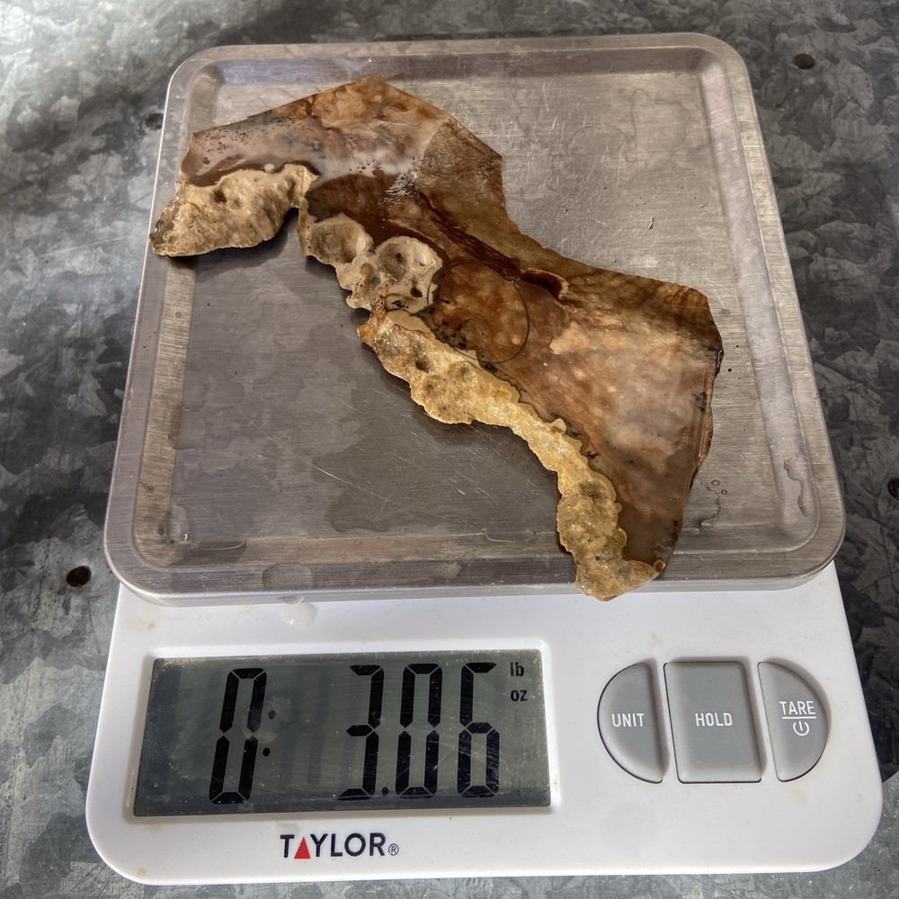 B Grade Biggs Jasper Rough Slab 3 Oz