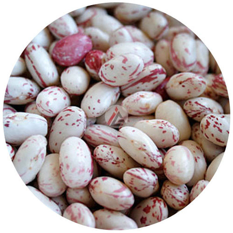 Dried Cranberry Beans (Borlotti Beans) - 450 gm
