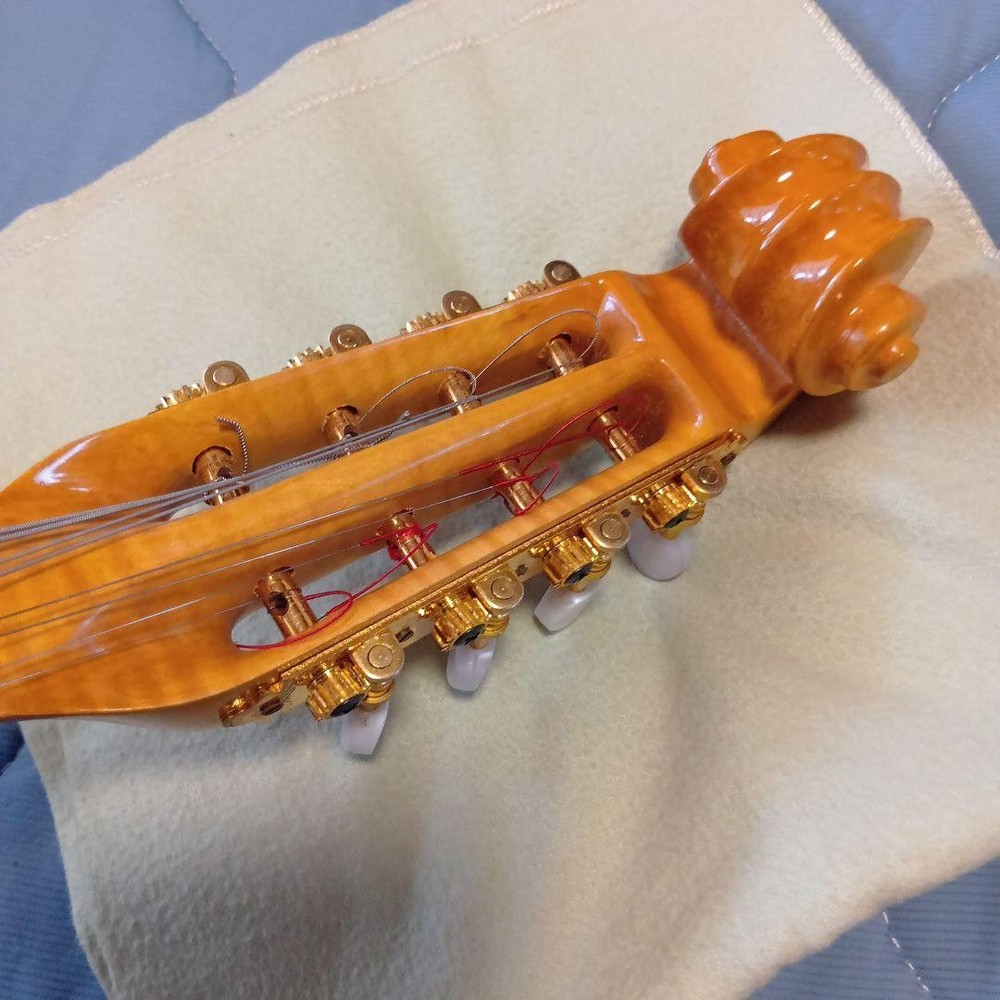 Mandolin 8 string orange with case