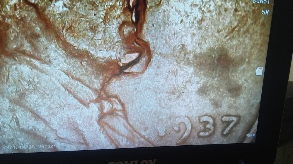 1937 Lincoln Wheat Cent Error Coin Rare Lamination