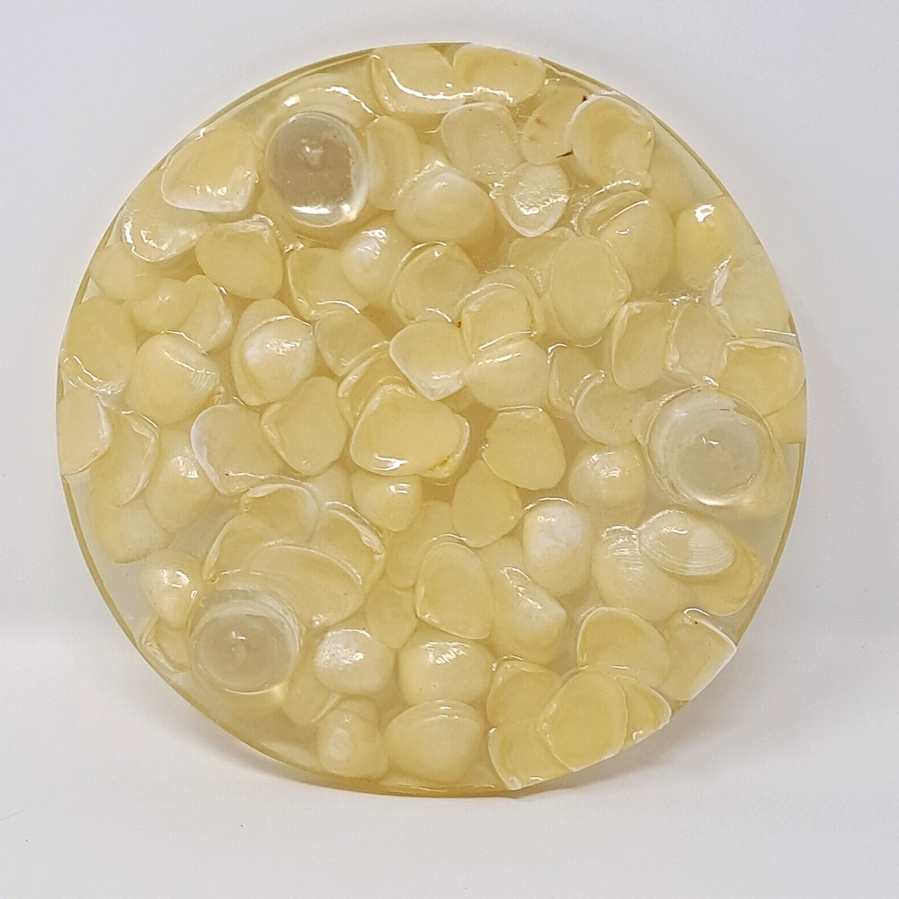 Resin Seashell Trivet 6" diameter white shells clear-ish stands 1" tall