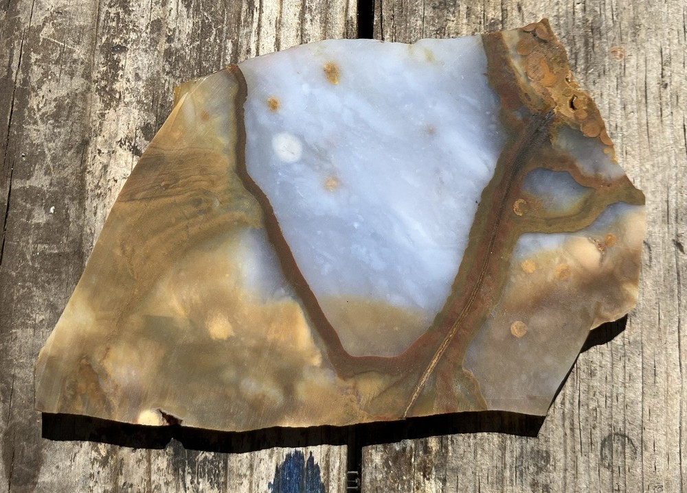 Blue Ice Polka Dot Agate Rough Slab Lapidary Cabbing Display