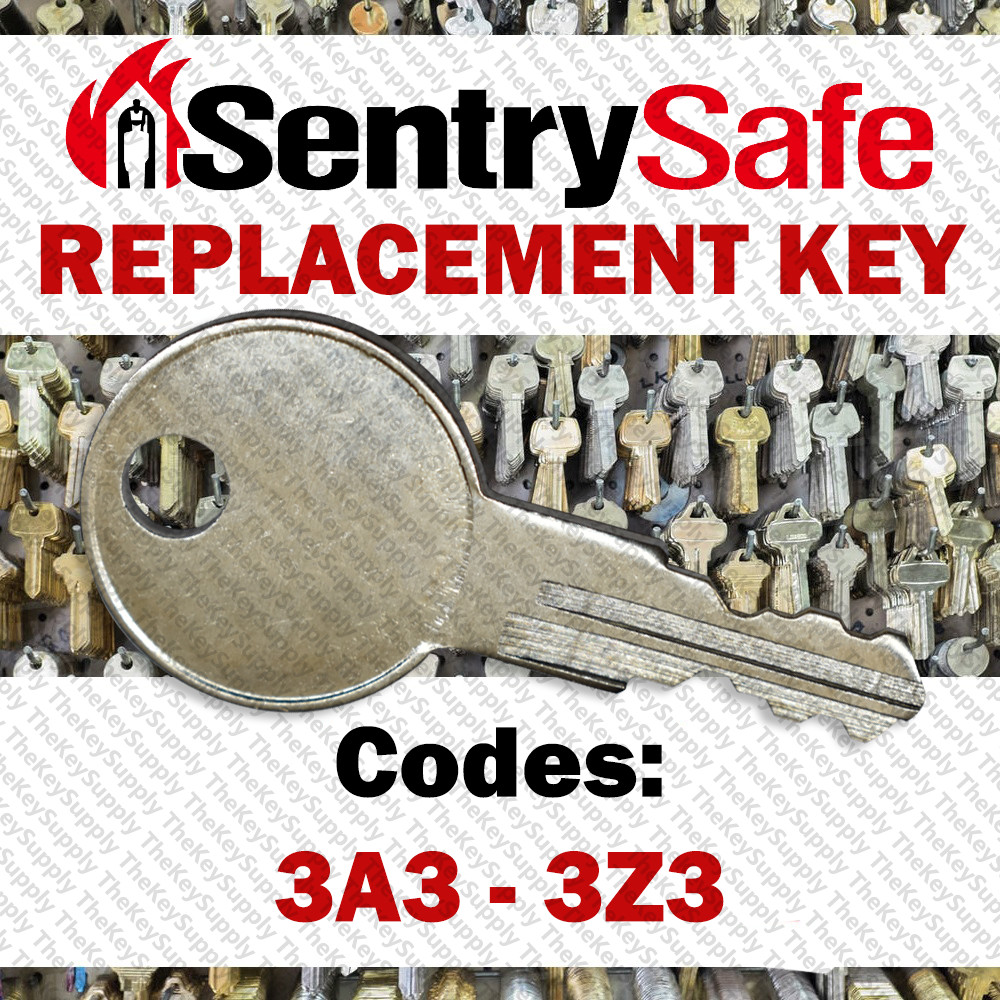 Sentry Safe Replacement Key Cut to Code 3A3 - 3Z3 *READ DESCRIPTION*