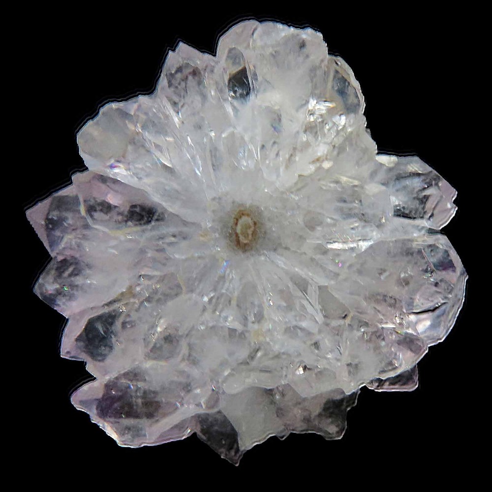 Stalactite Flower Slice  Polished Both Sides   c2098