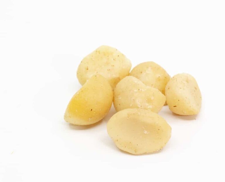 Bulk Raw Macadamia Nuts, Unsalted 25 Pound Wholesale Box