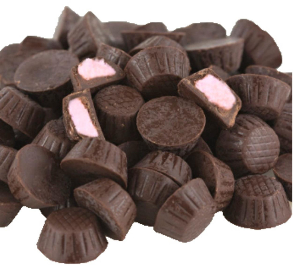 DARK CHOCOLATE Raspberry Cream Mini Candy 16 Oz bulk bag