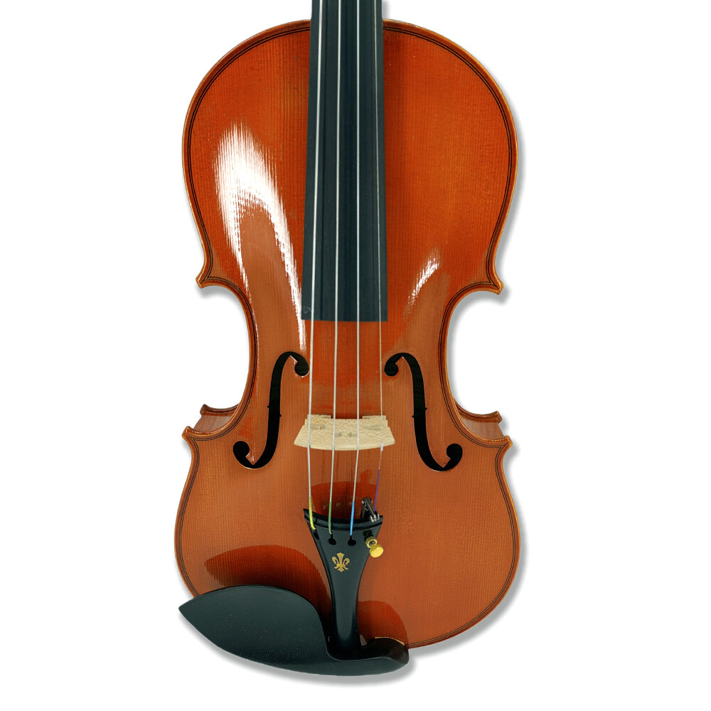 4 string 4/4 Scale Violin Flamed Maple Wood and Ebony Fittings Master Case