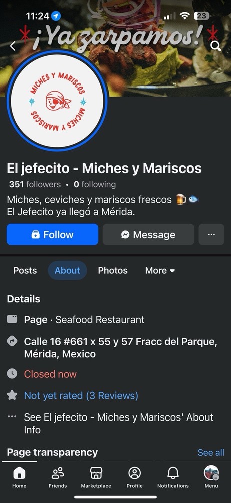 NEW Neewer 16 channels RT-16 Wireless Studio Flash Trigger Receiver Set