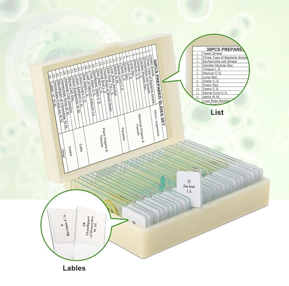 30 Microscope Slides with Specimens for Kids, Prepared Microscope Slides for ...