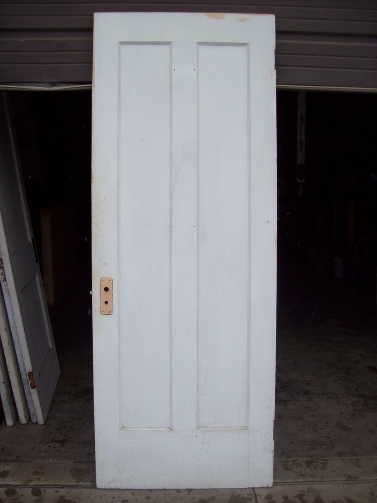 Single painted vertical panel door (D j)