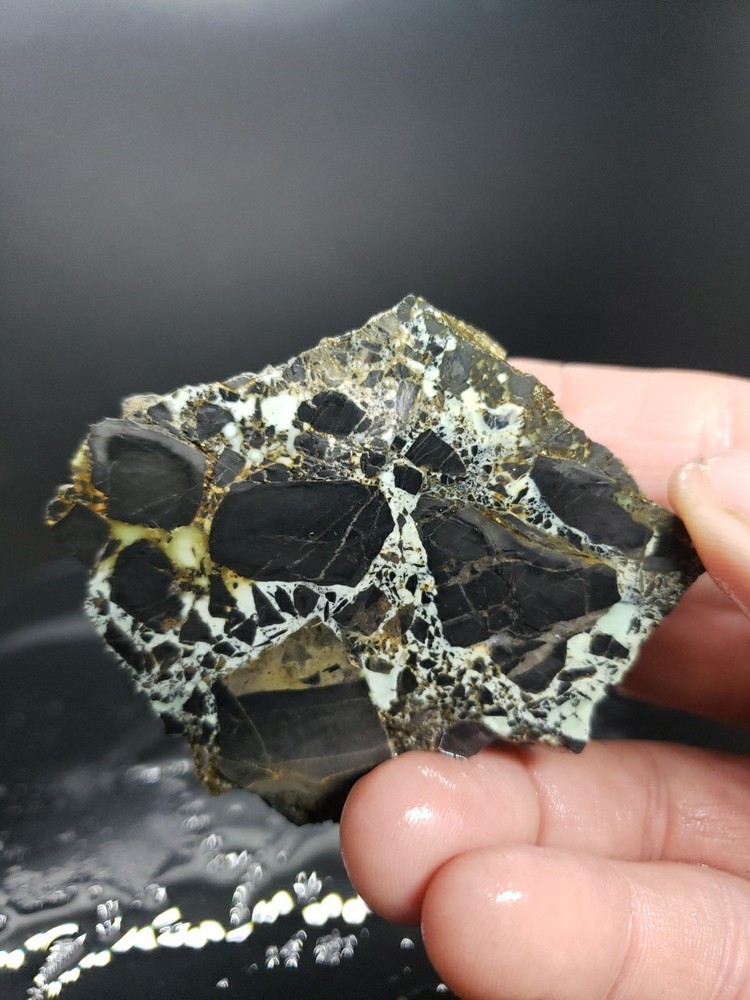 Nevada Gecko Variscite Rough