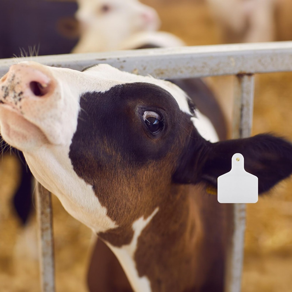 100 Blank Livestock Ear Tags for Cattle Identification - Durable Versatile