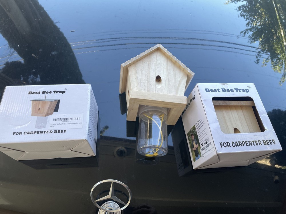 "Best Bee Trap" carpenters bee trap