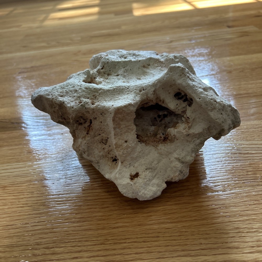 Landscaping rock for terrariums